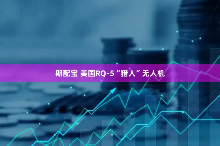 期配宝 美国RQ-5“猎人”无人机