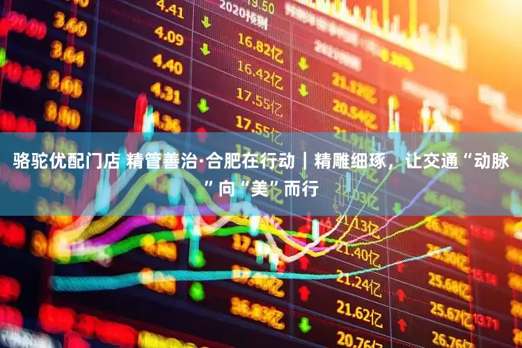 骆驼优配门店 精管善治·合肥在行动｜精雕细琢，让交通“动脉”向“美”而行