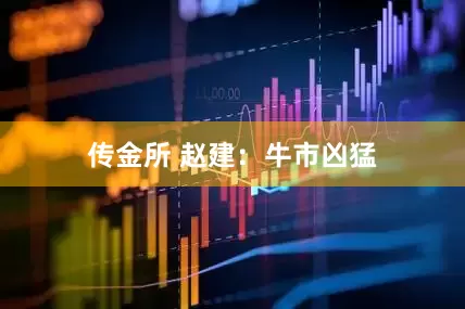 传金所 赵建：牛市凶猛