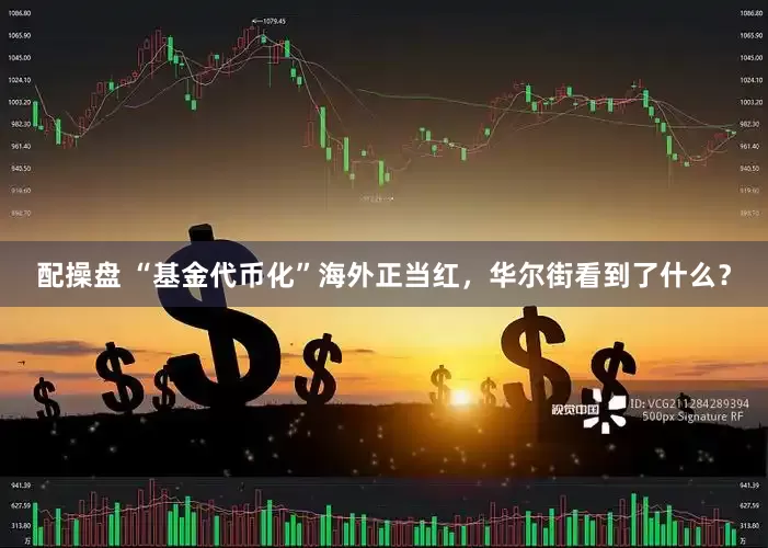 配操盘 “基金代币化”海外正当红，华尔街看到了什么？