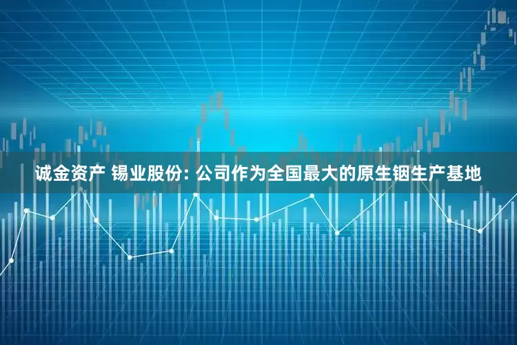 诚金资产 锡业股份: 公司作为全国最大的原生铟生产基地