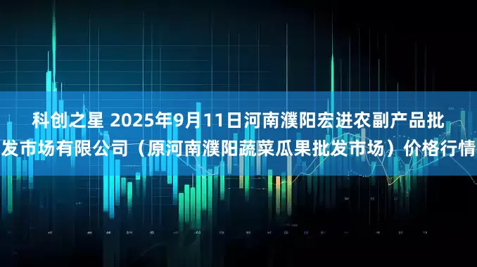 科创之星 2025年9月11日河南濮阳宏进农副产品批发市场有限公司（原河南濮阳蔬菜瓜果批发市场）价格行情
