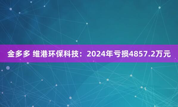金多多 维港环保科技：2024年亏损4857.2万元