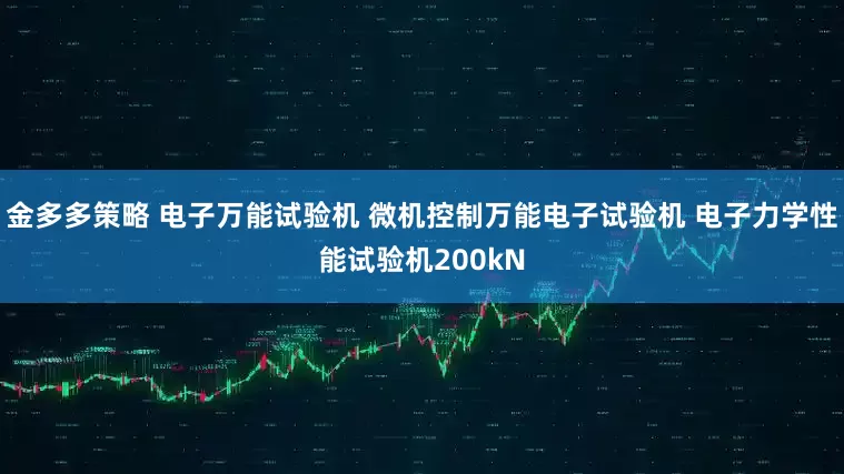 金多多策略 电子万能试验机 微机控制万能电子试验机 电子力学性能试验机200kN