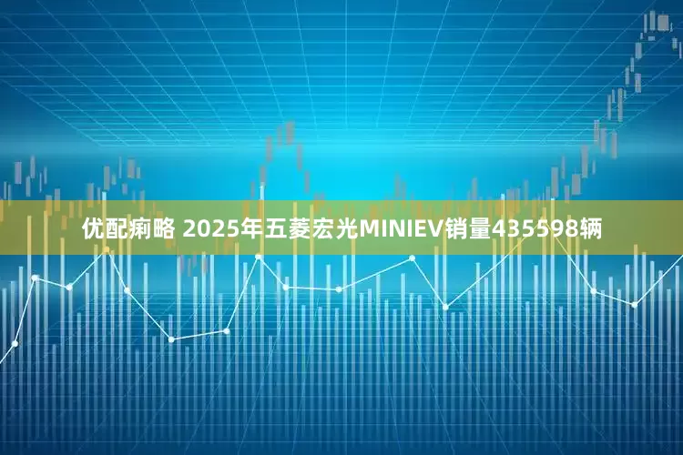 优配痢略 2025年五菱宏光MINIEV销量435598辆