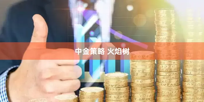中金策略 火焰树